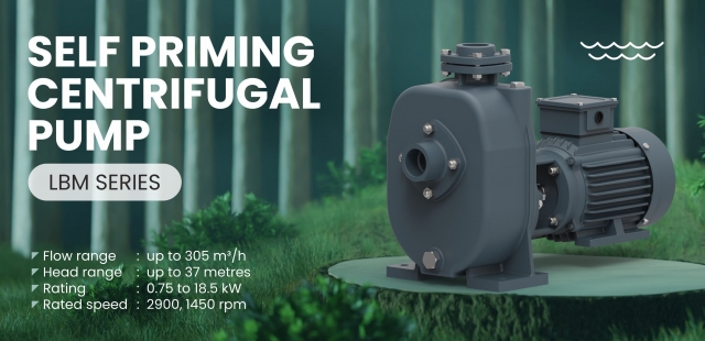 Complete Guide for Installing Self-Priming Centrifugal Pumps
