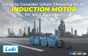 What to Consider When Choosing an AC Induction Motor for Your Business?